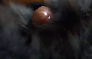 XXX Rimming bokep pelajar indo viral hitam